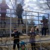 Прогулка в старшей группе